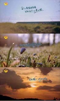 关于花季节最新爆料的文案,揭秘最新花季节秘闻大揭秘  第2张